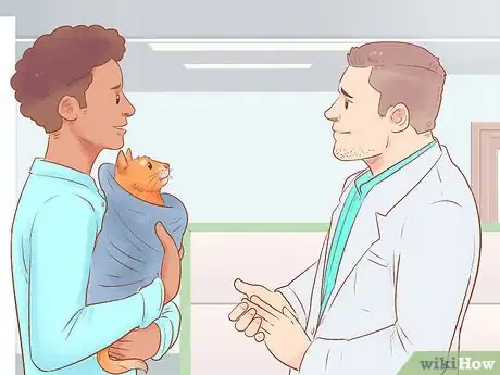 Image titled Diagnose and Treat Hypothermia in Cats Step 12