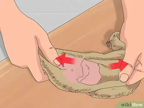 Image titled Skin a Squirrel Step 6