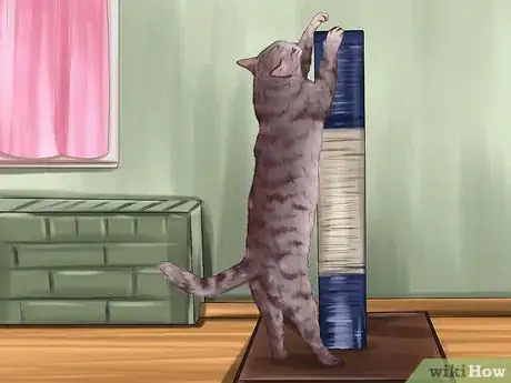 Image titled Understand Your Cat's Behavior Step 13