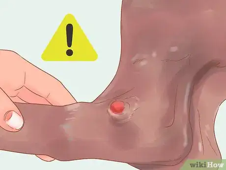 Image titled Know When Your Dog is Sick Step 4