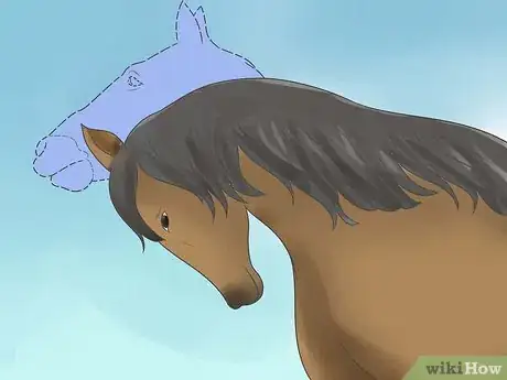 Image titled Take Proper Care of Your Horse's Teeth Step 14