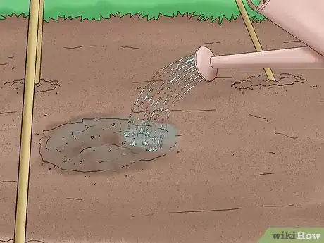 Image titled Grow Pole Beans Step 7