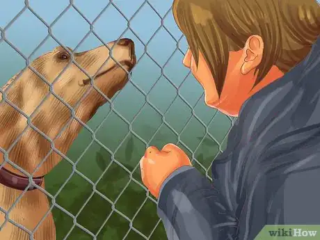 Image titled Adopt a Terrier Step 6
