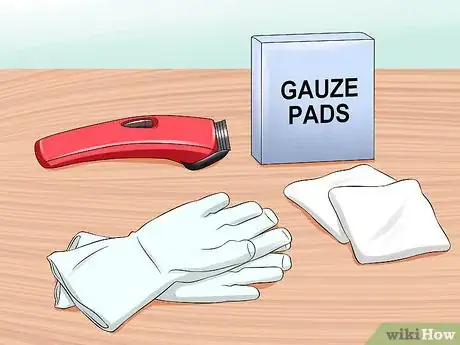 Image titled Express a Cat's Anal Glands Step 1