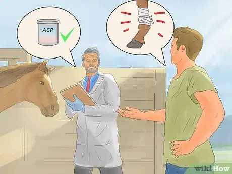 Image titled Hand Walk an Injured Horse Step 7