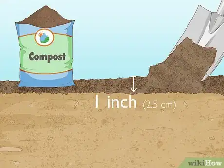 Image titled Prepare the Soil for Tomato Plants Step 12