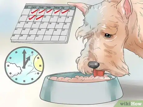 Image titled Diagnose Diabetes in Miniature Schnauzers Step 16