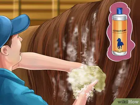 Image titled Brush the Mane of a Horse Step 7