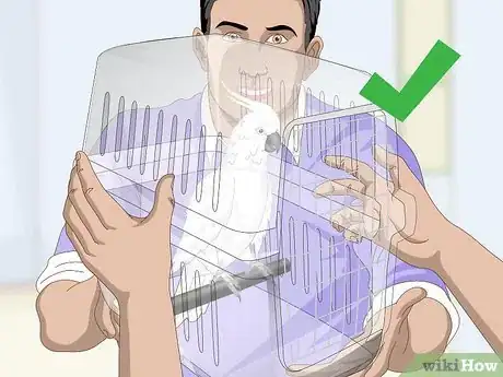 Image titled Choose a Cockatoo Step 14