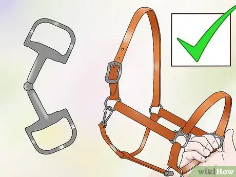 Image titled Bridle a Grumpy Horse Step 11