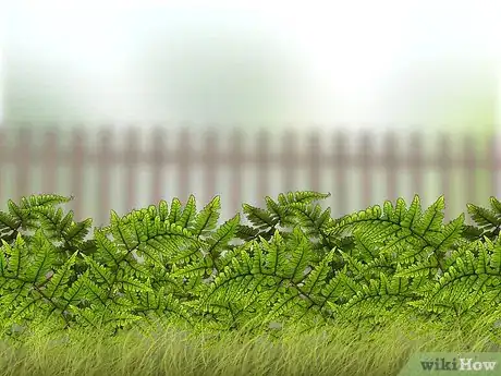 Image titled Get Rid of Ground Bees Step 6