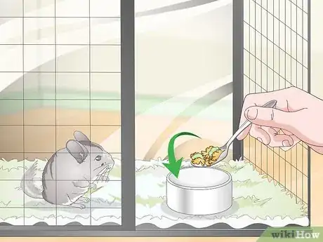 Image titled Supplement Nutrients in Your Chinchilla's Diet Step 5