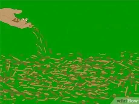 Image titled Seed a Lawn Step 20