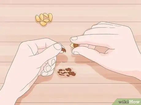 Image titled Grow Garcinia Cambogia Fruit Step 1