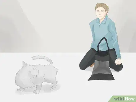 Image titled Handle a Stray Cat Step 21