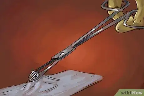 Image titled Pierce Your Own Penis Step 15.jpeg