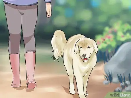 Image titled Do Short Training Sessions with Your Hunting Dog Step 4