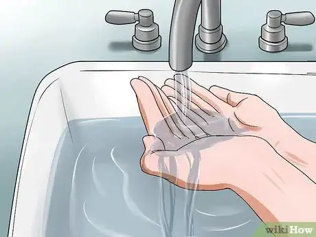 Image titled Tame an Older Hamster Step 10