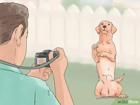 Image titled Photograph Dogs Step 9