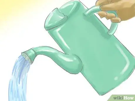 Image titled Grow Rue Step 4