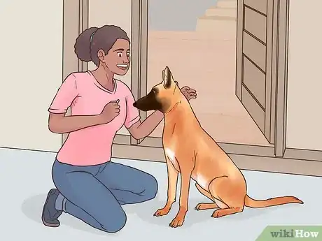 Image titled Protect Floors from Dirty Dog Paws Step 9