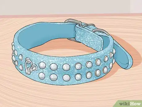 Image titled Buy Bling for a Dog Step 4