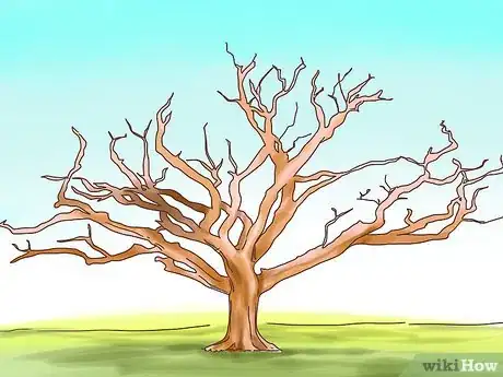 Image titled Take Artistic Photographs Step 4