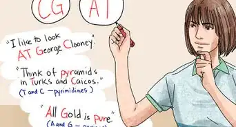 Understand DNA Structure