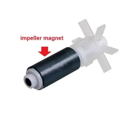 Image titled Saltwater_article_dzr13