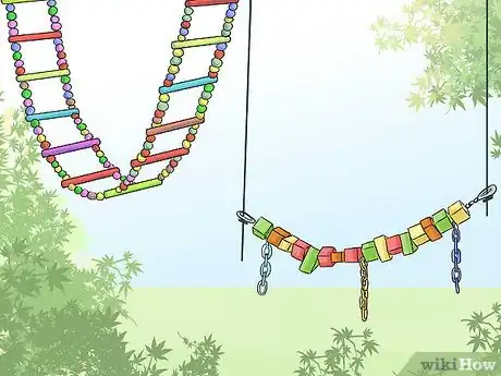 Image titled Know if a Pionus Parrot Is Right for You Step 6