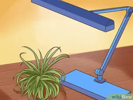 Image titled Care for Air Plants Step 6