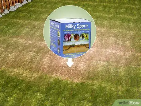 Image titled Get Rid of Japanese Beetles Step 10