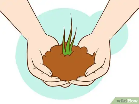 Image titled Get Rid of Poison Ivy Step 10