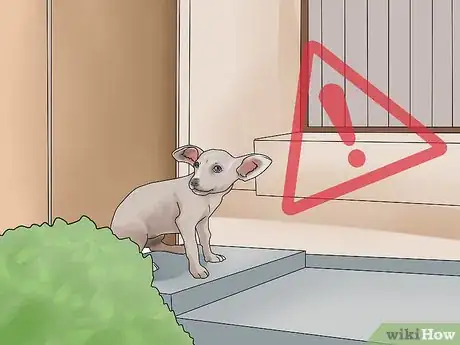 Image titled Keep Your Dog Comfortable Outdoors Step 10