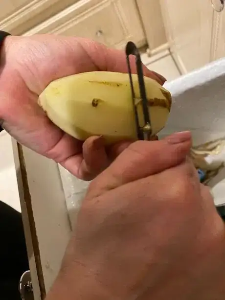 Image titled IMG_2895