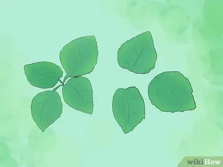 Image titled Use Foot Baths for Athlete’s Foot Step 13