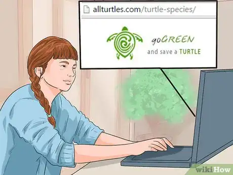 Image titled Buy a Turtle Step 7