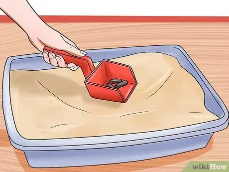 Image titled Resolve Cat Litter Tray Issues Step 5