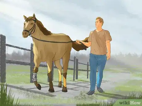 Image titled Hand Walk an Injured Horse Step 9