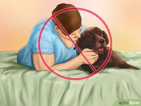 Image titled Avoid Confusing a Dog During Training Step 10