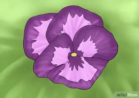 Image titled Cut from a Pansy Plant Step 7Bullet1