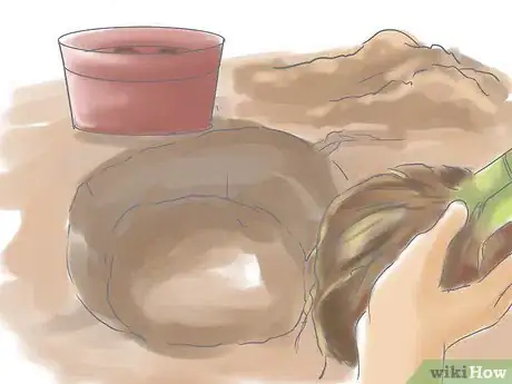 Image titled Cultivate Bamboo Step 5