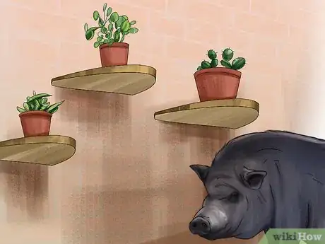 Image titled Have a Potbellied Pig for a Pet Step 7