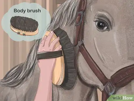 Image titled Brush a Horse Step 8