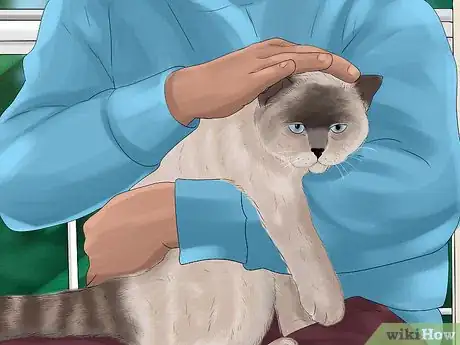 Image titled Identify and Treat Noise Phobias in Cats Step 4