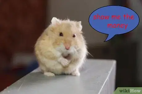 Image titled Make Cute Pictures of Your Hamster Step 13