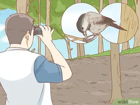 Image titled Hand Feed a Chickadee Step 3