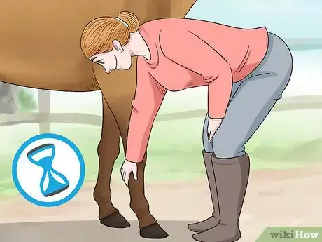 Image titled Train Your Horse for the Farrier Step 2