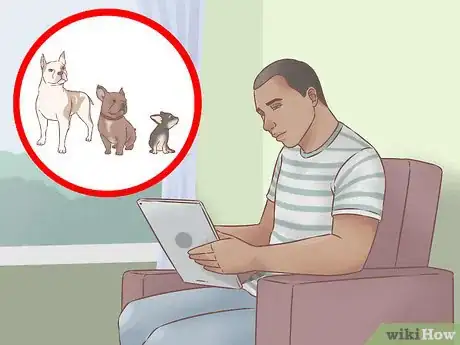 Image titled Choose a Second Dog Step 9