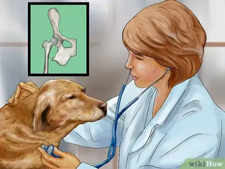 Image titled Keep Your Dog Safe in Extreme Weather Step 12